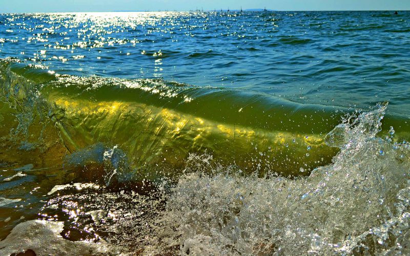 Азовское море фото воды